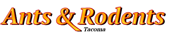 Tacoma Ant Exterminator & Rodent Control Company Logo